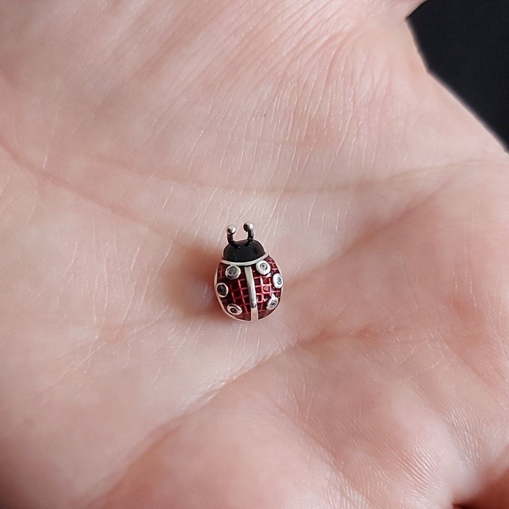 925 Sterling Silver Ladybug Charm - Picture 5 of 5